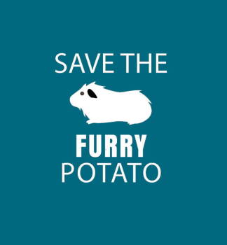 Rescue Guinea Pig Guinea Pigs for Adoption in Baton Rouge, Louisiana - Bugsby | PetCurious